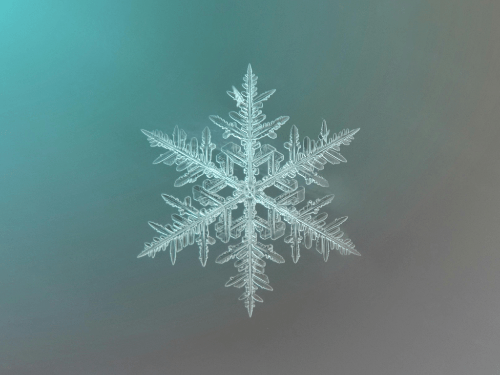 4 Mejores Consejos Para Proteger Tu Piel Del Frío